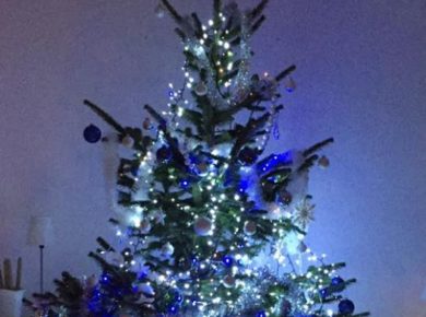 Joyeux Noël !
